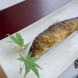 甲佐町やな場_1