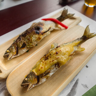 甲佐町やな場_0