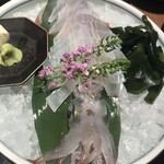 博多もつ鍋 前田屋 - 