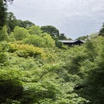 山地陽介 - 青紅葉