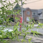 らー麺　Do・Ni・Bo - 煮干し専門店✨✨✨