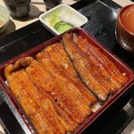 うなぎ 目白ぞろ芽 - 