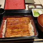 うなぎ 目白ぞろ芽 - 