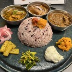 Curry Spice Gelateria KALPASI - 