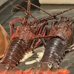 ニューオークラ - 