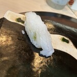 すし処司 - アオリイカ