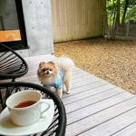 Regina Resort Kyukaruizawa