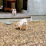 Regina Resort Kyukaruizawa