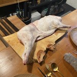 HIGASHITANI  - うりぼう