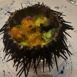 ポンドールイノ - 