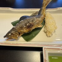 土佐料理 祢保希 新宿店 - 