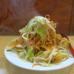 長崎ちゃんぽん・皿うどん 球磨 - 立ち上る湯気が食欲を刺激する　皿うどん