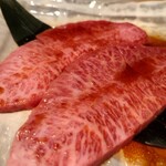 オーロックス - ミスジ