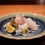 日本料理FUJI - ●お造り
      エボダイ、アオリイカ（小川港 活き〆）