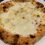 マッシモッタヴィオ - 