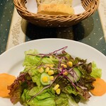 マッシモッタヴィオ - 