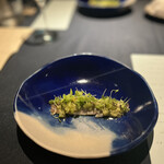 セルサルサーレ - 