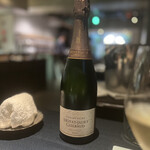 セルサルサーレ - 