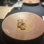 セルサルサーレ - 