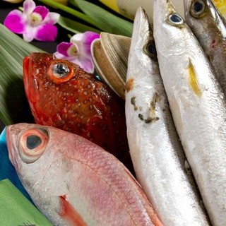 You can also enjoy fresh fish from Nagoya Yanagibashi Market.