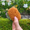ローザス