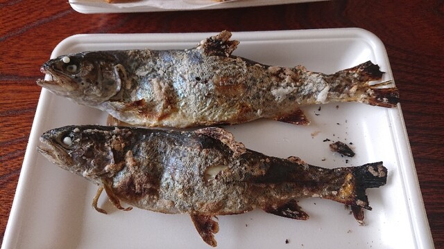 養鱒公園いこいの広場（ヨウソンコウエンイコイノヒロバ） - 養鱒公園（日本料理）の写真