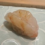 鮨菜 和喜智 - 牡丹海老