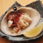 Fresh surf clam (grilled with salt or butter)