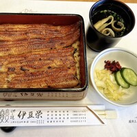 鰻割烹 伊豆栄 本店 -  鰻割烹 伊豆栄 本店 -