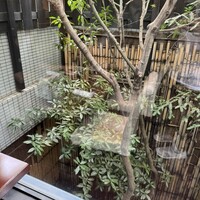 赤坂 津つ井 総本店 - 