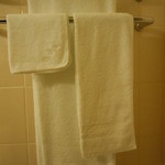 ホテルニューオータニ - 