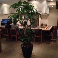 神戸牛ステーキ Ishida. 本店 - 