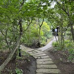 麦家 - 森の中へ