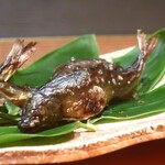 日本料理 幸庵 - 山梨県桂川の鮎の塩焼き