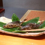 日本料理 幸庵 - 岐阜県馬瀬川の鮎と、山梨県桂川の鮎の塩焼き
