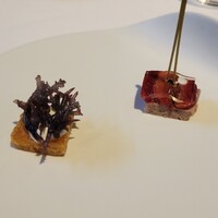 モトイ - 