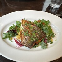 メルジェリーナ - 