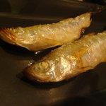 下総屋 - 本生ししゃも（雄と雌）