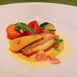 カンパーニャ - 