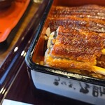 うなぎ乃助 - うな重、この下にもうなぎ！？