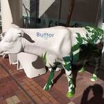 Butter - 牛