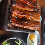 別館山田 - 上の『直重(じかじゅう) 』ご飯の上に直接鰻が乗っている。ご飯と鰻が別の器に供されるのが『鰻重』