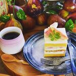 ◇◆◆◇ Cake Set ◇◆◆◇