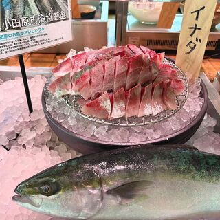 おさしみ天国・小田原海鮮ゴーゴー_2