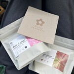 kochia - 