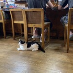 焼き肉 小太郎 - 