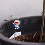 お料理 ちゃとら - 