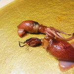 まんてん鮨 - ほたるいか