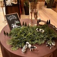 スプレンディード - 