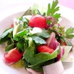 トラットリア ベーネ ベーネ - ヘルシー野菜のグリーンサラダ